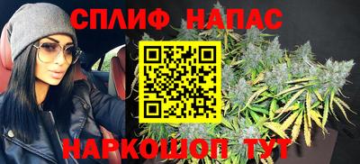 МДПВ Можга