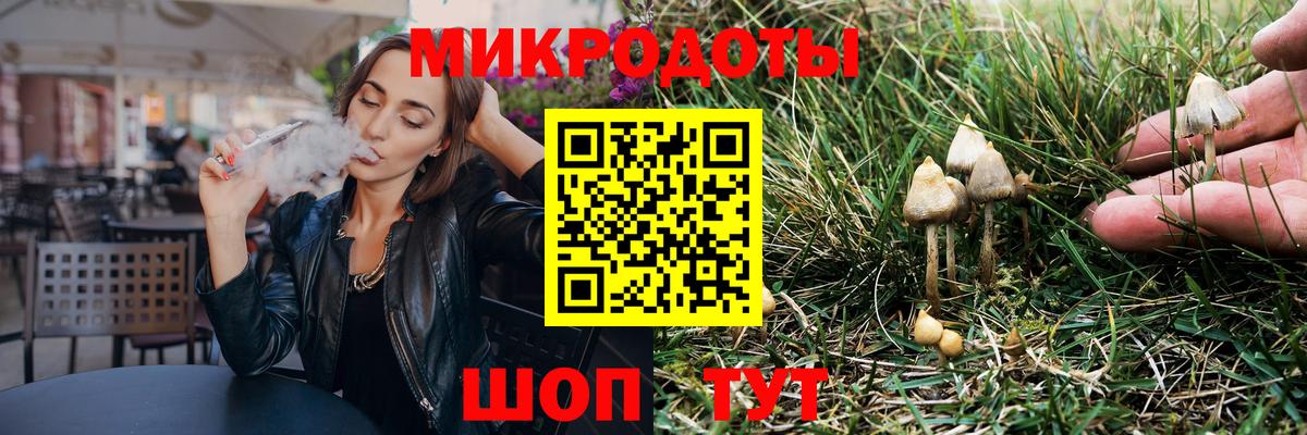 Псилоцибиновые грибы Psilocybe Коммунар