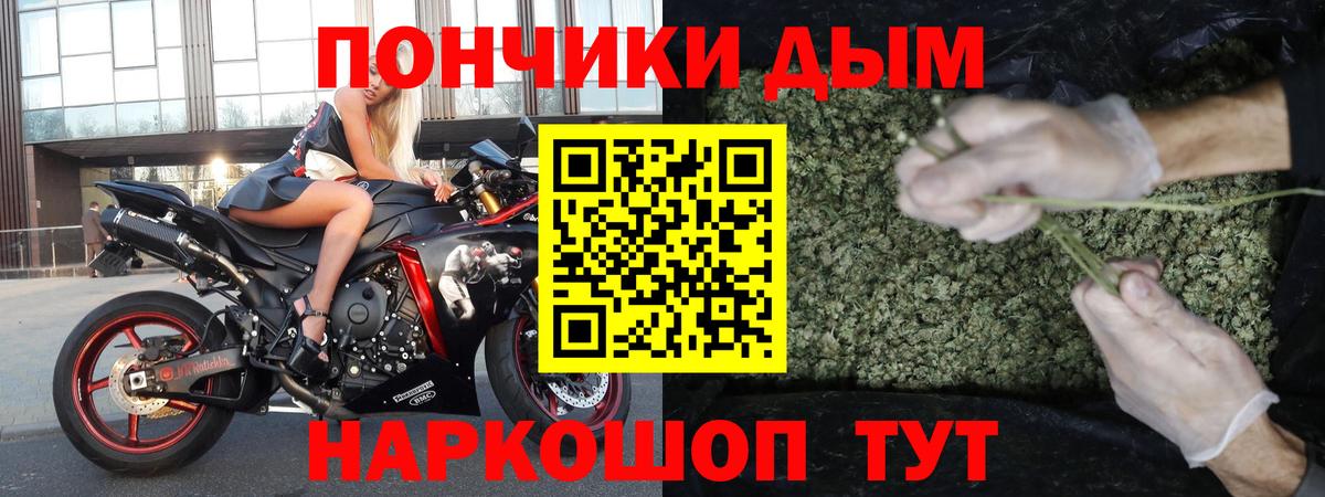 Бошки Шишки планчик Коммунар